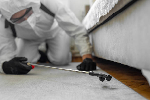Professional Bed Bug Control technician working in Woodbine, IA