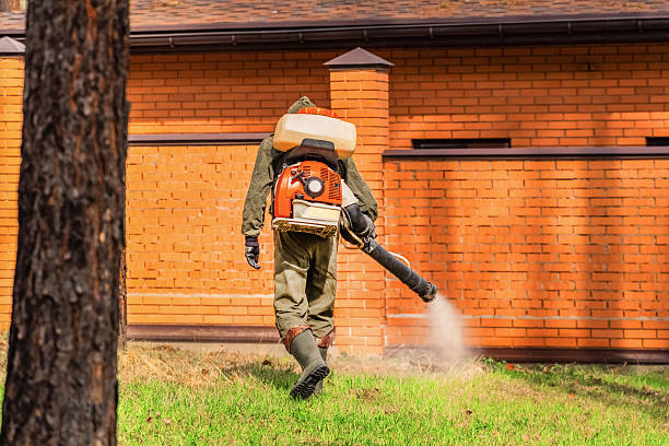 Trusted Ant Control service in Woodbine, IA - Nex Pest Control